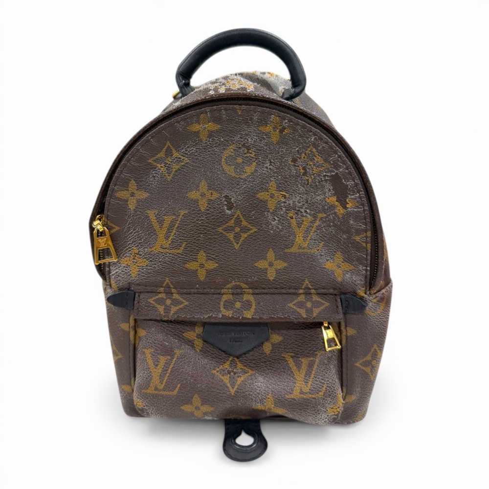 Louis Vuitton Palm Springs Mini Backpack Monogram Auth